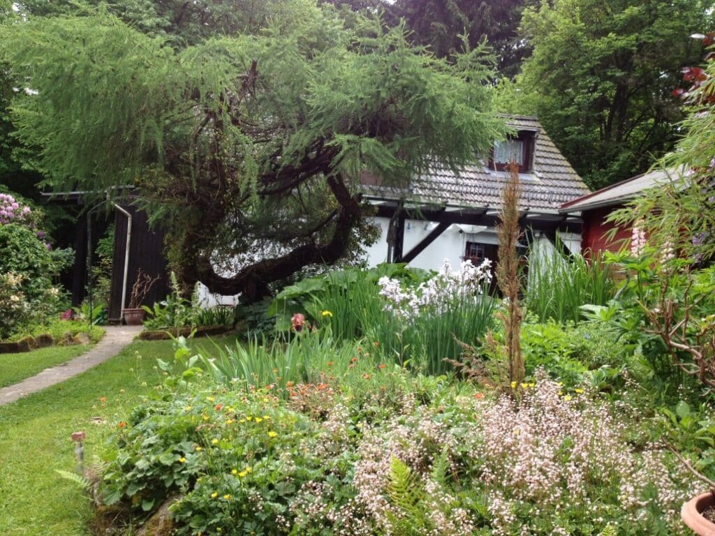 Makler Einfamilienhaus Söhrewald
